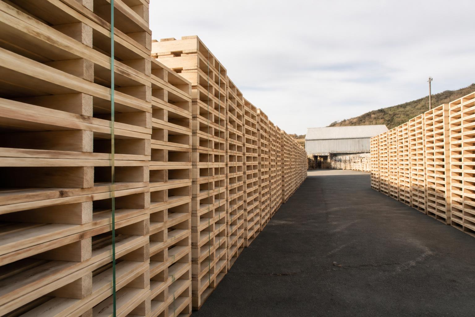 Rows of new timber pallets stacked in a South Coast pallet yard